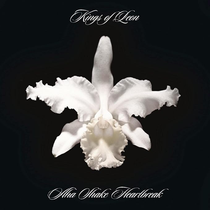 Kings Of Leon Aha Shake Heartbreak
