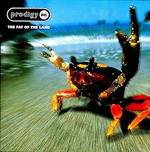 The Prodigy Fat Of The Land
