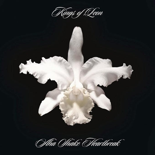 Kings Of Leon Aha Shake Heartbreak
