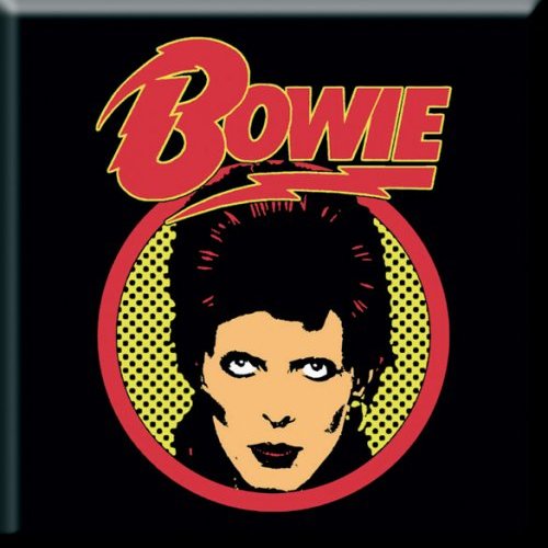 DAVID BOWIE FRIDGE MAGNET: FLASH LOGO
